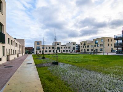 Nieuwe Erven Turnhout 3