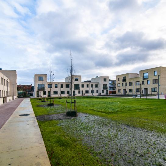 Nieuwe Erven Turnhout 3